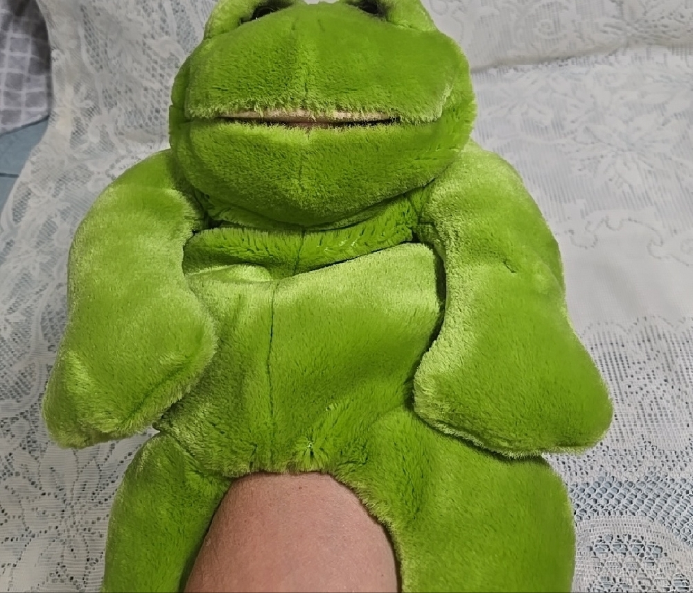 Applause LouRankin Plush Green Frog Stuffed Animal Toy - Picture 5 of 7